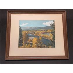 Signed Peterson Photo- 22" X 18"