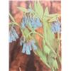 Image 3 : Signed Peterson Photo- Bluebell- 7.5" X 6"