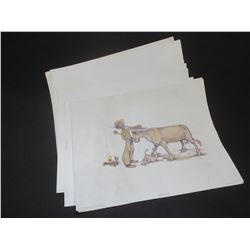 19 Bud MacCauley Prints- 20" X 16"