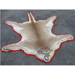 Double Matted Mountain Lion Rug- Nose To Tip Of Tail 92" Across Back Legs 67" - Across Front Legs 66