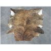 Image 1 : Brazilian Tanned Cowhide- 76"L