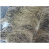 Image 2 : Brazilian Tanned Cowhide- 76"L