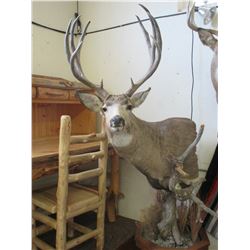 Pedestal Mounted Mule Deer- 21"W X 21"H X 5"Base