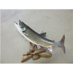 Trout Mount- 31"