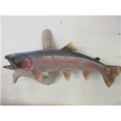 Rainbow Mount- 18"