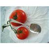 Image 1 : DURGIN STERLING ANTIQUE "NANCY" TOMATO SERVER #1092298