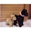 Image 1 : 2 Steiff poodles #1102960
