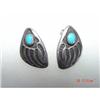 Image 1 : Estate  Turquoise Sterling Earrings #1121213