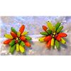 Image 1 : Alice Caviness ClipBack Bead Earrings #1122224