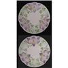 Image 1 : Pair of Majolica Sarreguemines Display Plates #1122854