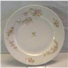 Image 1 : Austria Dinner Plates #1123911