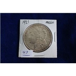 U.S.A. Morgan Dollar (1)