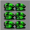 Image 1 : Natural AAA Chrome Green Diopside 6 Pcs -  FL