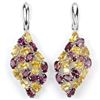 Image 1 : Natural Multi Gemstone EarRing