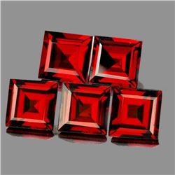 Natural Orange Red Garnet 5 Pcs [IF-VVS]