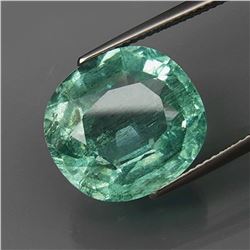 Natural BIG Aquamarine Brazil 12.32 Ct
