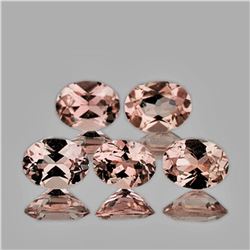 Natural Peach Pink Morganite 5 Pcs[Flawless-VVS]