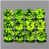 Image 1 : NATURAL GREEN PERIDOT 16 Pcs [FLAWLESS-VVS]