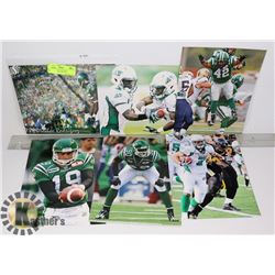 LOT OF 6 SASKATCHEWAN ROUGHRISE 8X10 PHOTOS