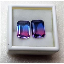 12)  LOT OF 2 MATCHED RECTANGULAR LAB