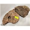 Image 2 : 2 PIECES GENUINE LAVA ROCK