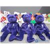 Image 3 : (16) TY Beanie Baby's