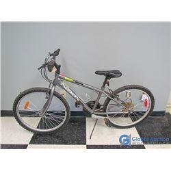 Youth 24" Next Mountain Bike