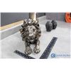 Image 2 : Lion Statue & Other Decor
