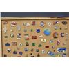 Image 2 : Lapel Pin Collection on Bulletin Board