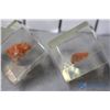 Image 3 : (20) Athabasca Stone Potash Display Samples