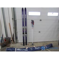 Downhill Skies w/Poles