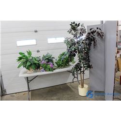**Decorative Plastic Plants