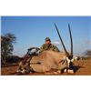 Image 2 : PHASA - Limpopo Plains game hunt