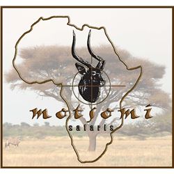 PHASA - 10 Animals for 2 Hunters Limpopo hunt