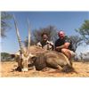 Image 4 : PHASA - Kalahari Hunt for Golden Wildebeest and Golden Gemsbok