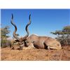 Image 7 : PHASA - North West Kudu Hunt for 1 Hunter and 1 Observer