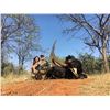 Image 7 : PHASA - Limpopo Hunt for 4 Hunters and 4 Observers