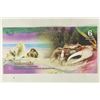 Image 1 : 2017 ATLANTIC OCEAN 6 OCEAN DOLLARS HERMIT CRAB