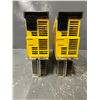 Image 3 : (2) FANUC A06B-6124-H209 aiSV 80/80HV SERVO AMPLIFIER MODULE