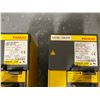 Image 8 : (2) FANUC A06B-6124-H209 SERVO AMPLIFIER MODULE