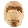 Image 5 : Lot #1 - 2001: A SPACE ODYSSEY (1968) - Ape Mask Appliance