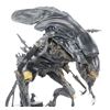 Image 9 : Lot #28 - ALIENS (1986) - Xenomorph Queen Model Miniature Puppet