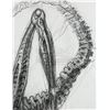 Image 3 : Lot #36 - ALIEN: RESURRECTION (1997) - Large Hand-Drawn Xenomorph Concept Sketch