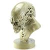 Image 3 : Lot #37 - ALIEN RESURRECTION (1997) - Newborn Alien Maquette