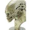 Image 5 : Lot #37 - ALIEN RESURRECTION (1997) - Newborn Alien Maquette