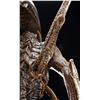 Image 10 : Lot #41 - ALIEN: RESURRECTION (1997) - Xenomorph Alien Display with Tail