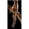 Image 11 : Lot #41 - ALIEN: RESURRECTION (1997) - Xenomorph Alien Display with Tail