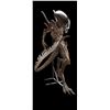 Image 1 : Lot #41 - ALIEN: RESURRECTION (1997) - Xenomorph Alien Display with Tail
