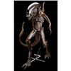Image 3 : Lot #41 - ALIEN: RESURRECTION (1997) - Xenomorph Alien Display with Tail