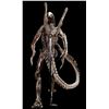 Image 4 : Lot #41 - ALIEN: RESURRECTION (1997) - Xenomorph Alien Display with Tail
